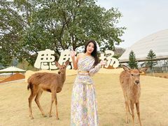 -盈香心动乐园