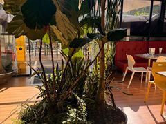 -813芭依珊 BAESAn(皇冠十畝地店)