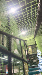 -MELAND CLUB亲子乐园·派对·餐厅(北京芳圆里ID MALL店)