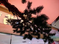 -桂满陇·手作小笼包&江南叫花鸡(中山公园店)