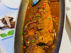 干烧野生大黄鱼-民福居烤鸭店(石榴庄店)