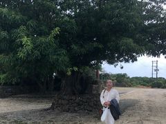 -上野德国文化村