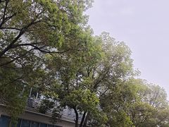 -苏州青少年科技馆