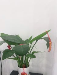 -Cream88颜皮肤管理中心