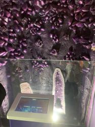 -北京科学中心儿童乐园