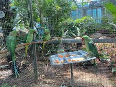 -大连森林动物园