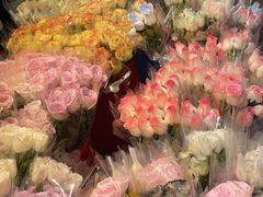 -循礼门鲜花花市(武汉循礼门店)