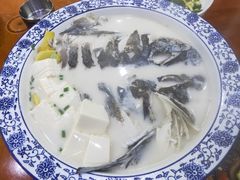 -全乐鱼馆·淳牌有机鱼直营店