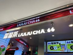 -TD66高山铁皮石斛养生茶饮