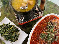 -青城甲(青城山店)