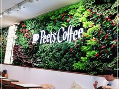 大堂-Peet's Coffee皮爷咖啡(上海长风大悦城店)