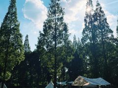 -宝岩生态观光园