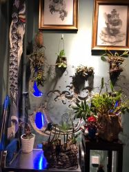 -周忆刺青原创设计定制