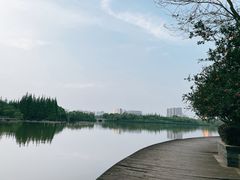 -成都南湖公园