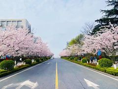 -青岛奥林匹克帆船中心