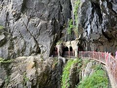 -塔云山