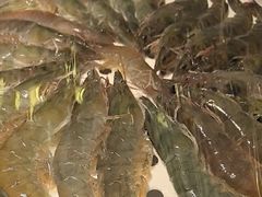 -望海臻鲜·海鲜餐厅