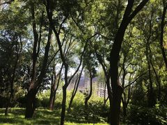 -玲珑塔公园