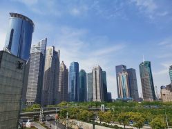 -巍阁高端月子会所