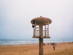-东海岛旅游度假区