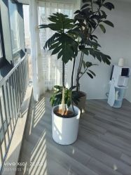 -HEYAN荷妍专业脱毛连锁机构