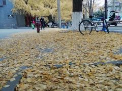 -四川大学(华西校区)