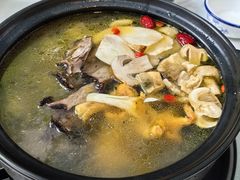 -蘑统田下·野生菌火锅