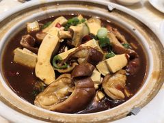 肥肠臭豆腐煲-新天厨酒家(二分店)