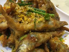 -喜碧海鲜·二十年本土海鲜老字号(上排店)