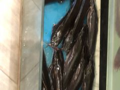 -得仁酒家(东四十一条店)