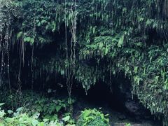 -海口火山口国家地质公园