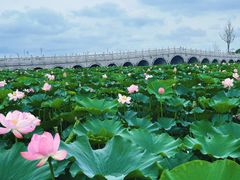 -重元寺香积厨素斋馆
