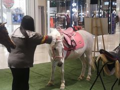 -氿熹干锅•牛蛙•烤鱼(印象城店)