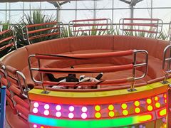 -南宫五洲植物乐园