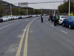 -上海佘山国家森林公园天马山园