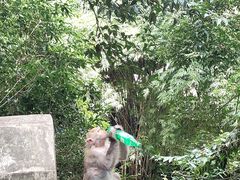 -黔灵山公园