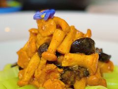 -云腾食府·云南菜