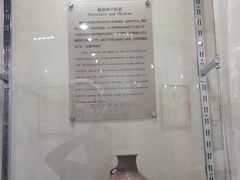 -广东中医药博物馆
