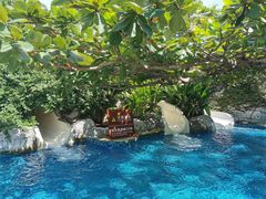 -三亚亚龙湾天域度假酒店