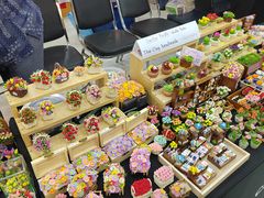 -尚泰清迈机场购物中心