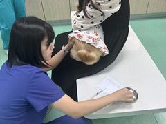 -北京观赏动物医院·24小时大型综合·猫专科·异宠专科