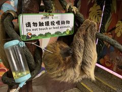 -正佳雨林生态植物园