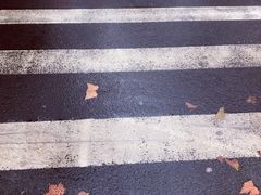-RGF(巨鹿路店)