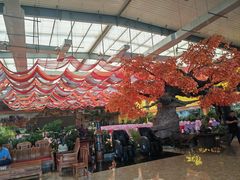 -君临七星生态酒店