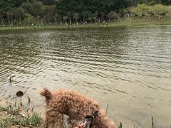 -云溪植物园