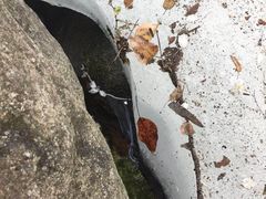 -云岫谷自然风景区