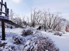-中旅松花湖滑雪场