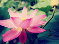 -白洋淀景区