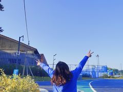 -王借岗森林公园