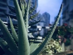-简·无界健身工作室·运动康复·体态(石厦店)